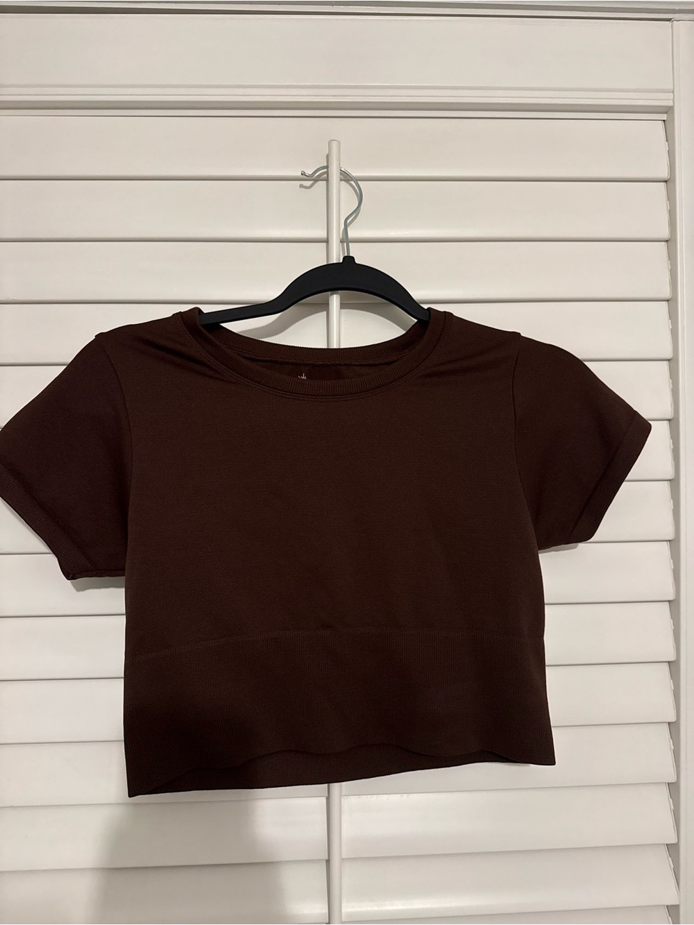 aerie Brown Short Sleeve Cropped Tee